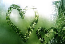 征途国际官网：[德甲]第10轮：莱比锡VS门兴格拉德巴赫.